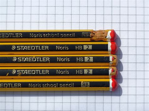 noris .